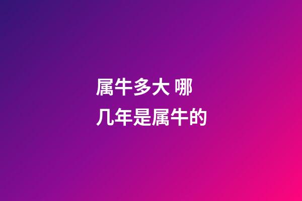 属牛多大 哪几年是属牛的-第1张-观点-玄机派